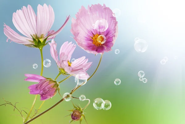 Çiçekler dekoratif güzel tatil kartı — Stok fotoğraf