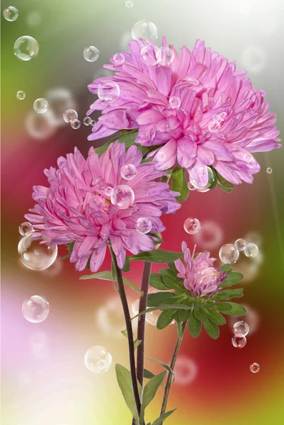 鲜花装饰美丽的假日卡 — 图库照片