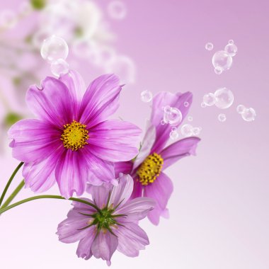 güzel bahar egzotik flower.celebration kartı