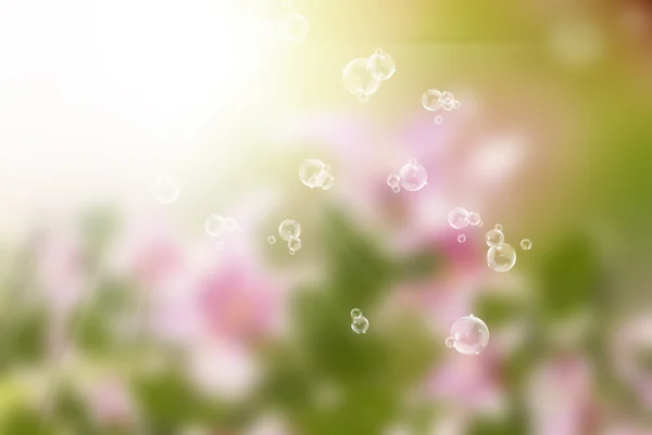 Summer sunny nature blur.Abstract background — Stock Photo, Image