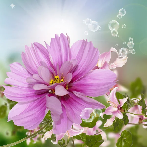 Exotiska flowers.flora kort — Stockfoto