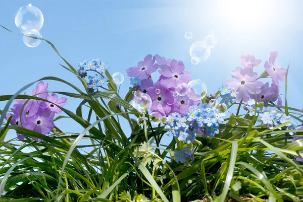 Primavera — Foto de Stock