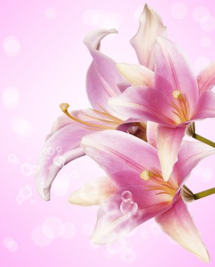 güzel çiçekler card.floral arka plan