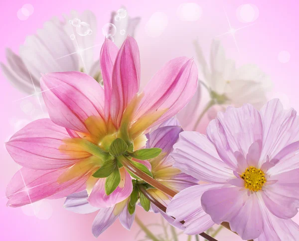 Beautiful flowers card — Stock Photo, Image