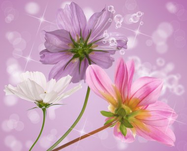 güzel kart dekoratif çiçek