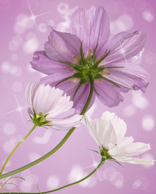 güzel kart dekoratif çiçek