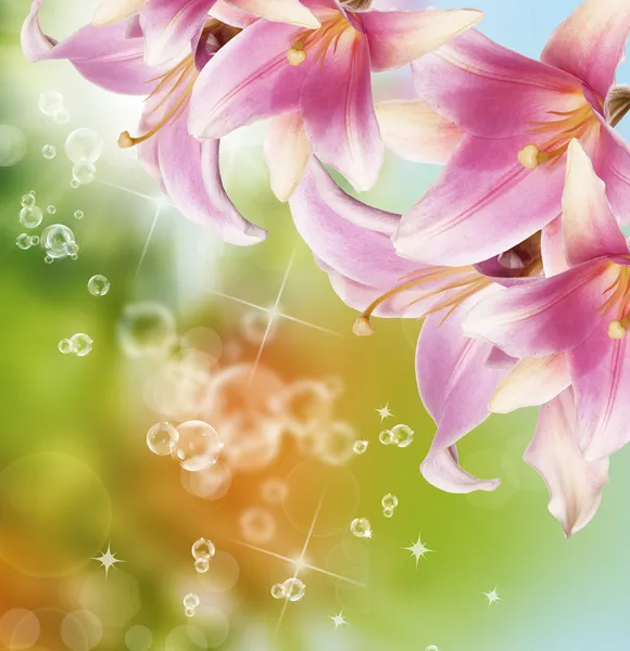 Schöne Blumen card.flora exotischen tropischen Hintergrund — Stockfoto