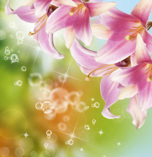 Красивые цветы card.Flora экзотический тропический фон
