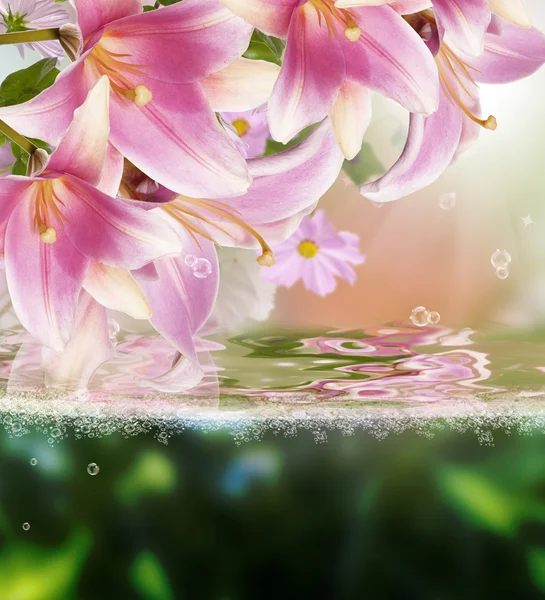 Piękne kwiaty card.flora egzotyczne tropikalny tło — Zdjęcie stockowe