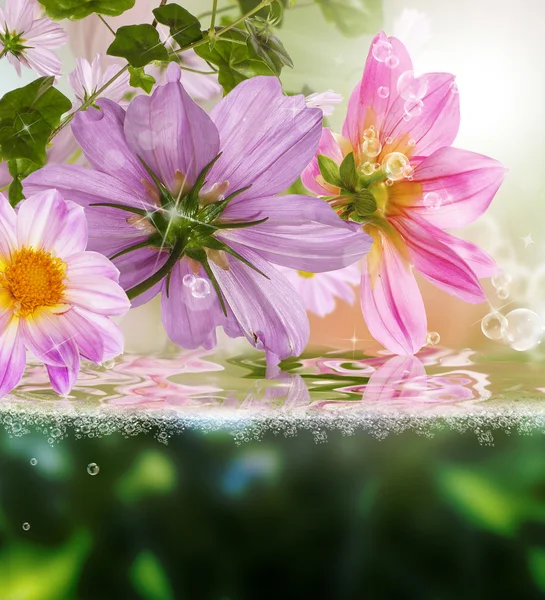 Schöne Blumen card.flora exotischen tropischen Hintergrund — Stockfoto