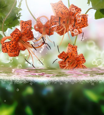 Flora egzotik tropik arka plan