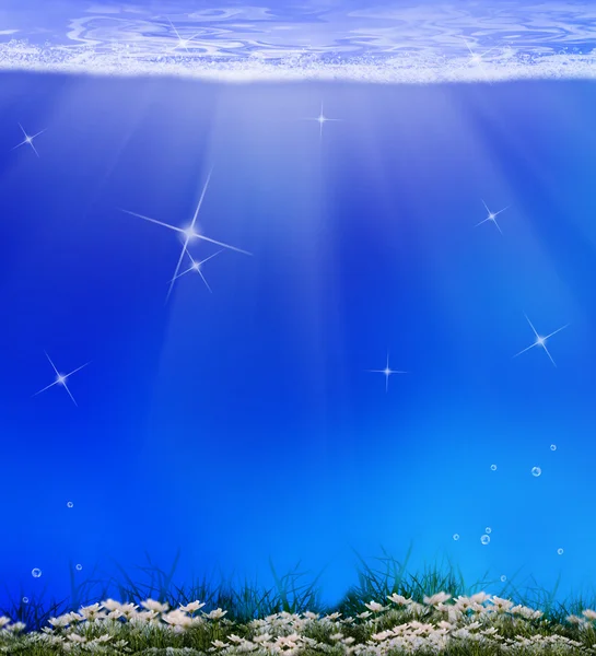 Undersea world.Nature background — Stock Photo, Image