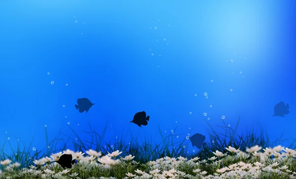 Undervattens liv i haven och oceanerna — Stockfoto