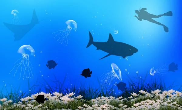 Undersea world background.Diving — Stock Photo, Image