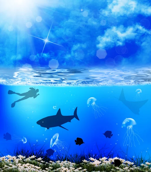 Diving. Underwater marine life — Stock Photo, Image