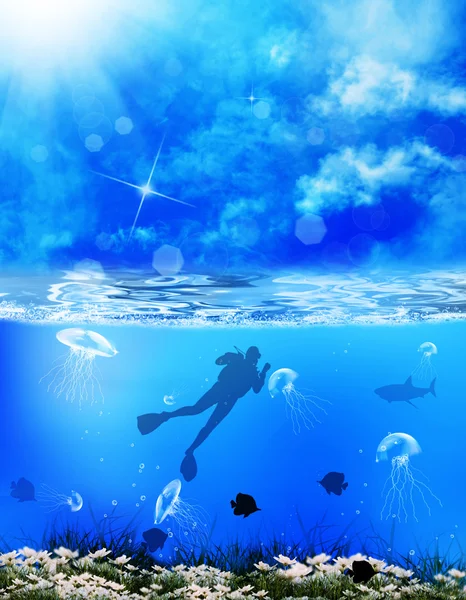 Diving. Underwater marine life — Stock Photo, Image