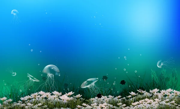 海と海の水中生活 — ストック写真