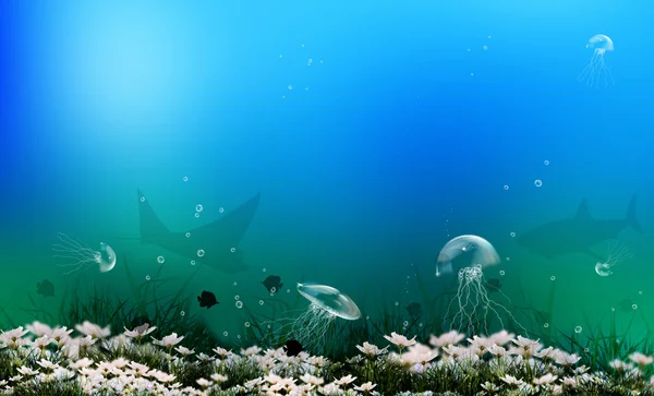 Подводная жизнь морей и океанов — стоковое фото