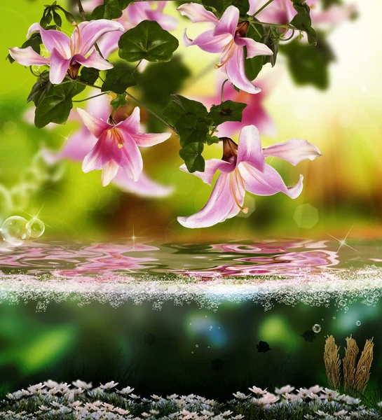 Jindřich exotické tropical.nature květinové krásné pozadí — Stock fotografie