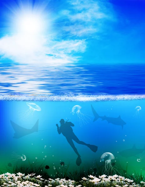 Diving — Stock Photo, Image