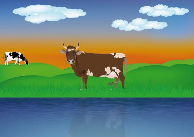 süt inekleri river.the kırsal peyzaj