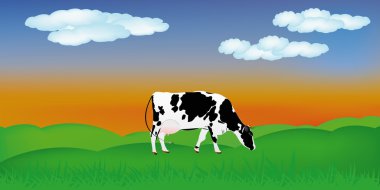 yaz yeşil meadow.the kırsal manzara üzerinde süt ineği