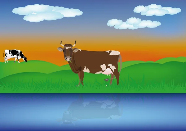 Dairy cows at river — Stock Illustration Dairy cows at river Vector Graphics