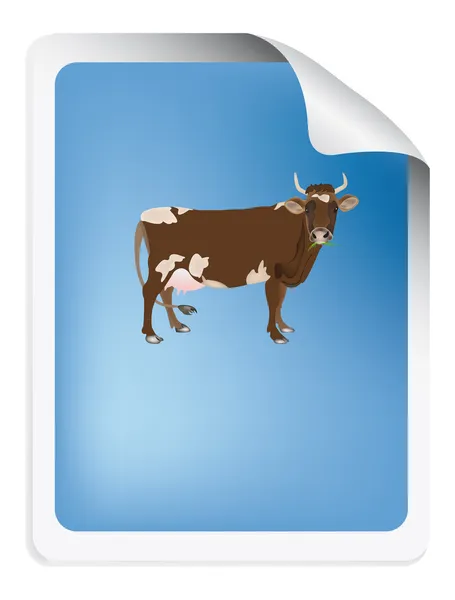 Dairy label with cow — Stock Photo, Image