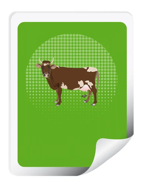 Sticker with cow — Stock Photo, Image