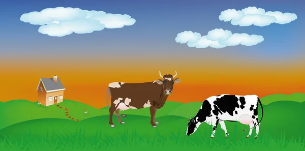 Молочні корови на літньому зеленому лузі. Сільський пейзаж — стоковий вектор