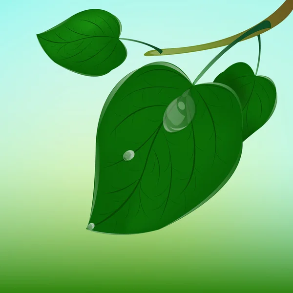 Koncepcja zielonych leaf.ecology — Zdjęcie stockowe