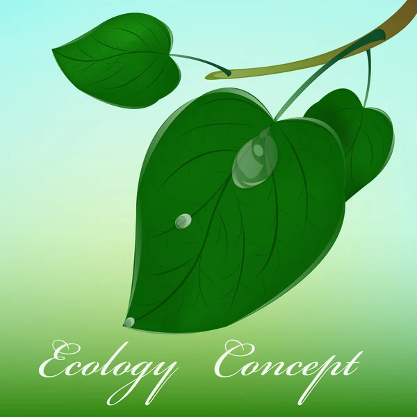 Green leaf.Concepto de ecología — Archivo Imágenes Vectoriales