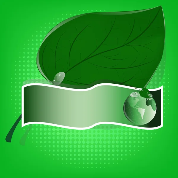 绿色 leaf.ecology concept.emblem 横幅 — 图库照片