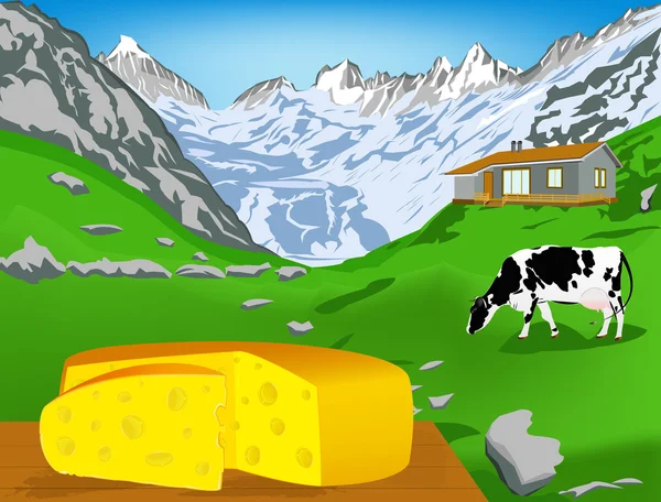 Natural swiss dairy cheese from cow with alps meadow — Stock Photo, Image