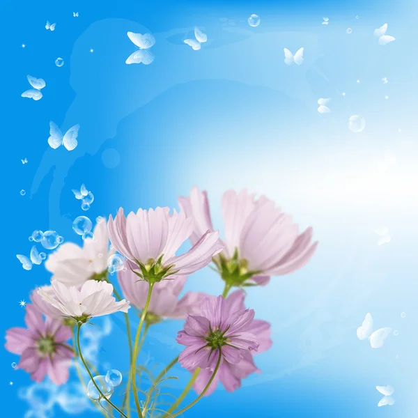 Blomma bakgrunden card.spring — Stockfoto