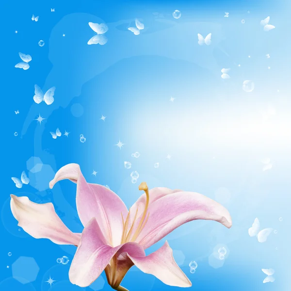 Flor cartão de fundo.Primavera — Fotografia de Stock