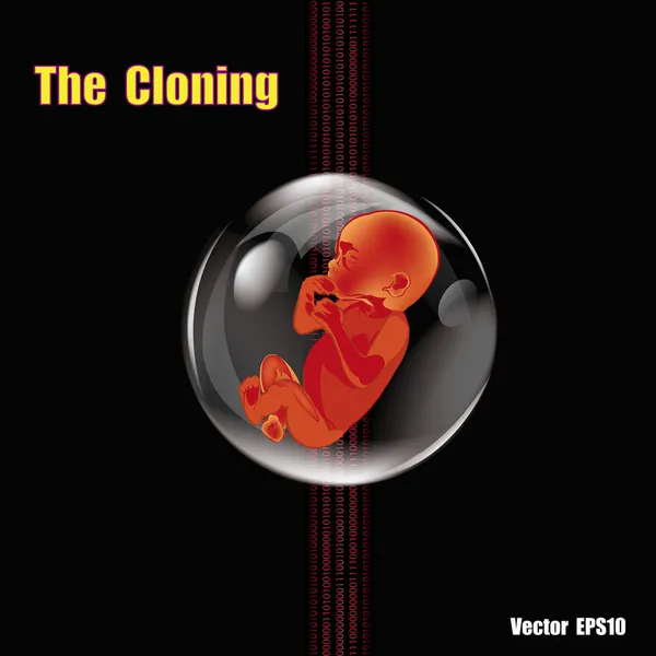 The cloning . Medical research in the genetics of the future — Stock Vector
