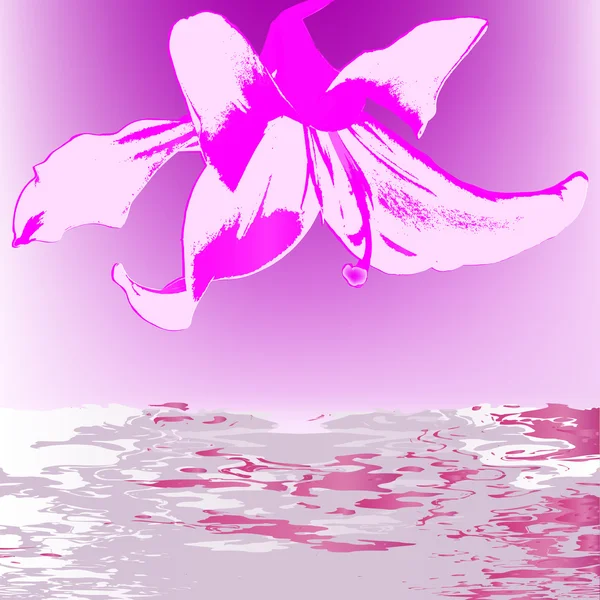 Abstract beautiful lily on a water background.Female perfume — Stock Photo, Image