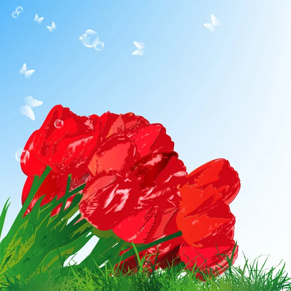 Beautiful red tulip upon green grass. Vector — Stock Vector