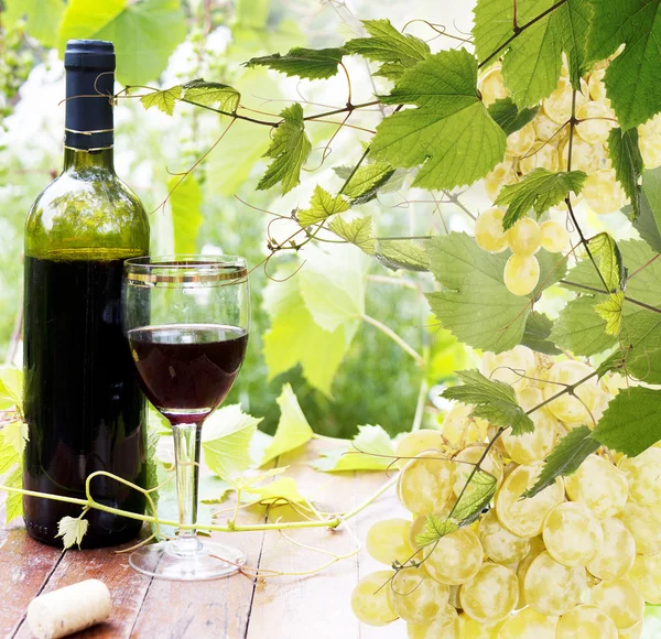 Fles jonge wijn en rijp grape.wine achtergrond — Stockfoto