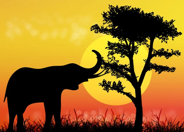 Elefante em savana. África.Parque nacional . — Vetor de Stock