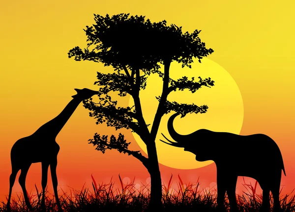 Girafa e elefante no parque nacional. África savana. Paisagem — Fotografia de Stock