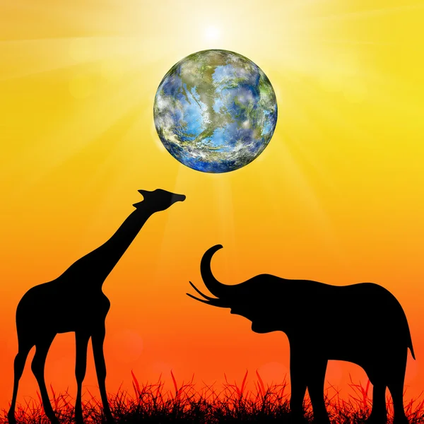 Giraffe und Elefant bei Sonnenuntergang. — Stockfoto