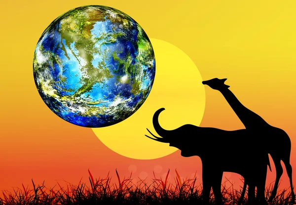 Earth day.animal im Nationalpark.africa.nature Saison — Stockfoto