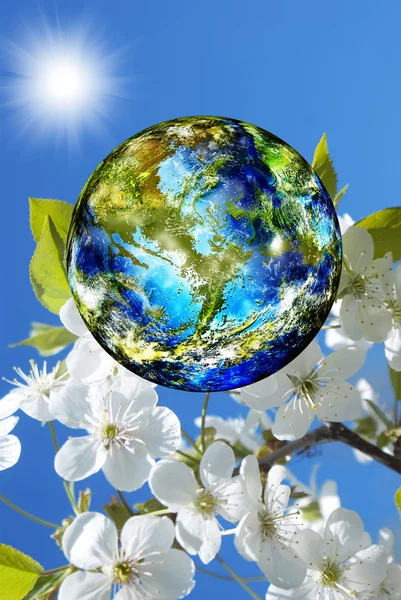 Earth day. Season nature.Spring background — Stock Photo, Image