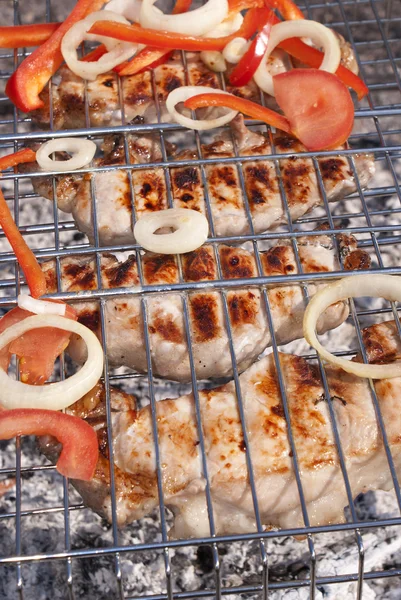 Appetizing roasted meat barbecue with fresh vegetables — Stock Photo, Image