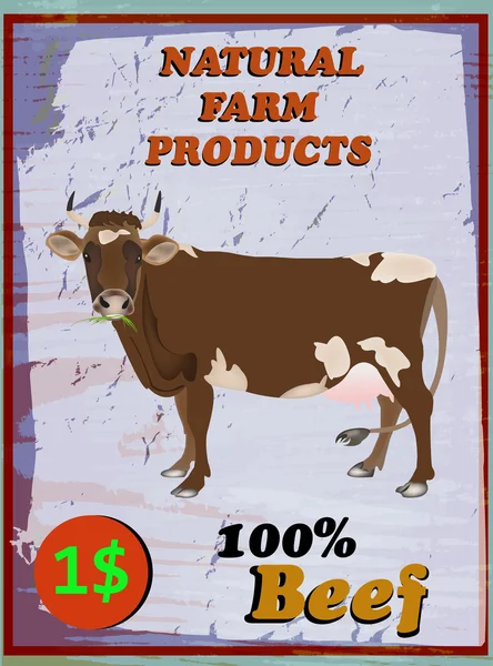 Poster für Milchprodukte und Rindfleisch — Stockvektor