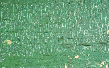 eski yeşil soyut ahşap doku