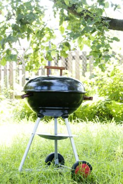 Yaz bahçesinde Barbekü