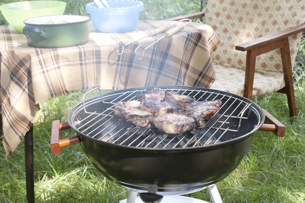 Barbecue in the summer garden — Stock Photo, Image